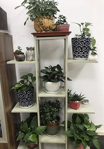 废气球宴(中国)公司源和环保 废气球宴(中国)公司源和环保