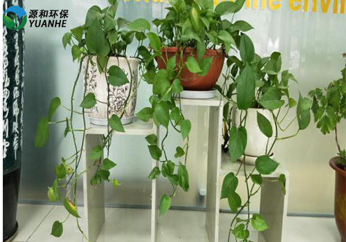 废气球宴（中国）公司