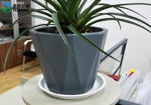 废气球宴（中国）公司